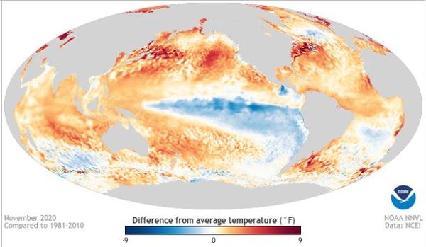 Anomalies de température de la surface de l’océan en novembre 2020