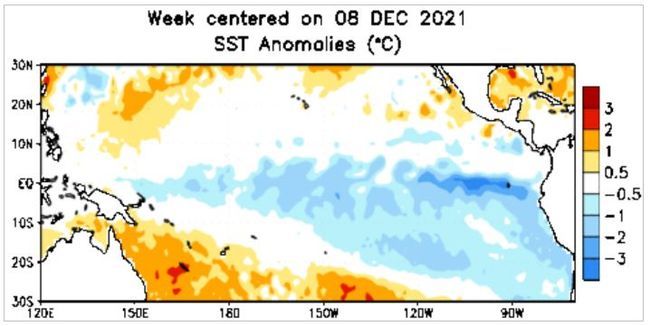 Anomalies de température de surface dans le Pacifique tropical en décembre 2021