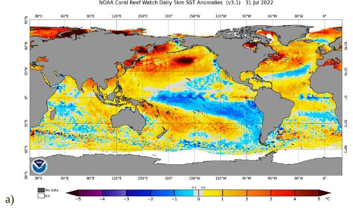Anomalie de température de la surface de l’océan le 31 juillet 2022