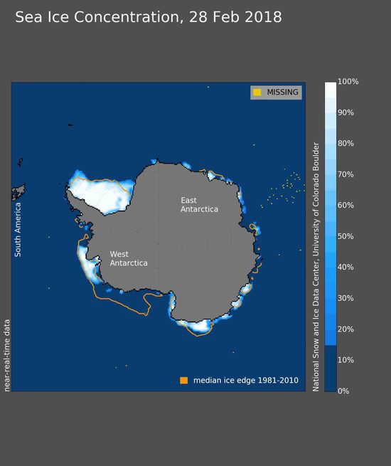 Banquise antarctique