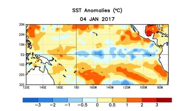 Fig 2 : Anomalies de température dans le Pacifique équatorial. 2017